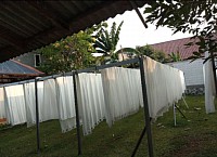Cuci Hordeng